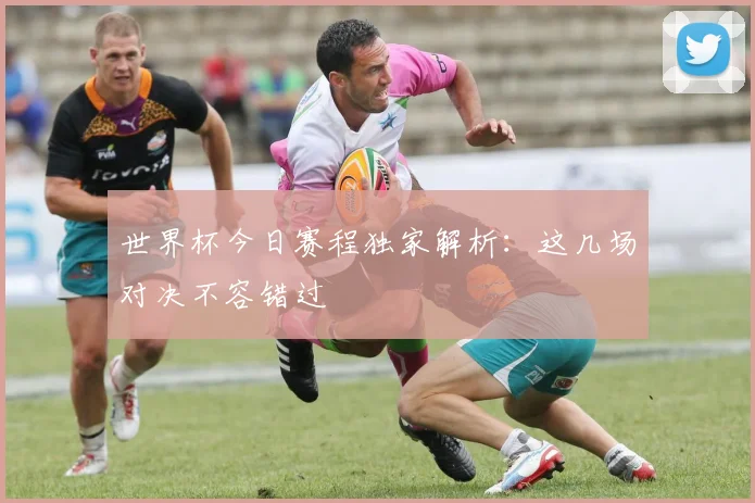 世界杯今日赛程独家解析：这几场对决不容错过