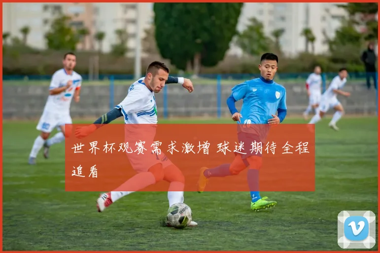 世界杯观赛需求激增 球迷期待全程追看