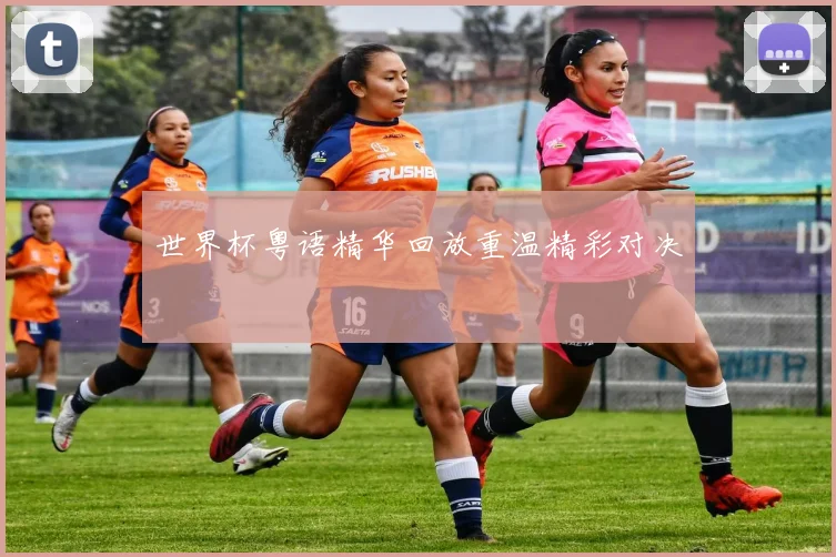 世界杯粤语精华回放重温精彩对决