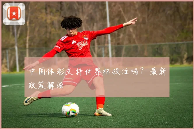 中国体彩支持世界杯投注吗？最新政策解读
