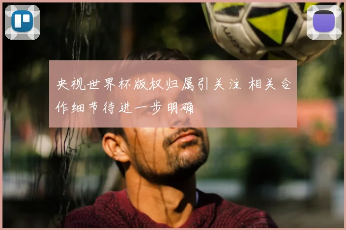 央视世界杯版权归属引关注 相关合作细节待进一步明确