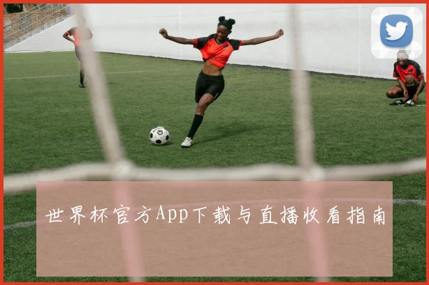 世界杯官方App下载与直播收看指南