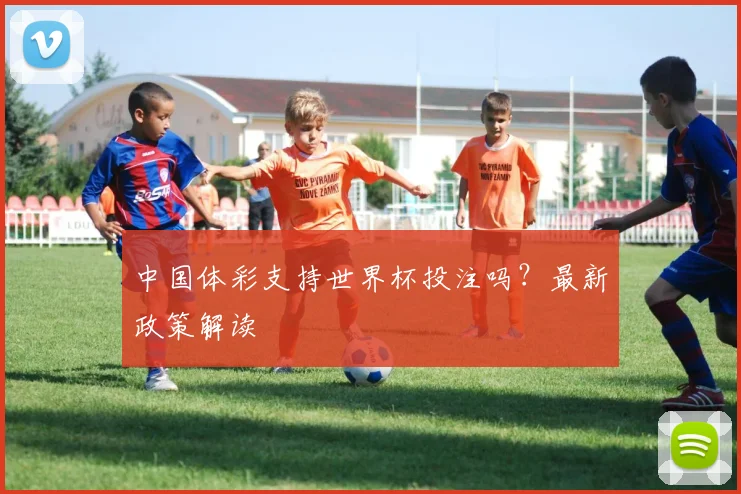 中国体彩支持世界杯投注吗？最新政策解读