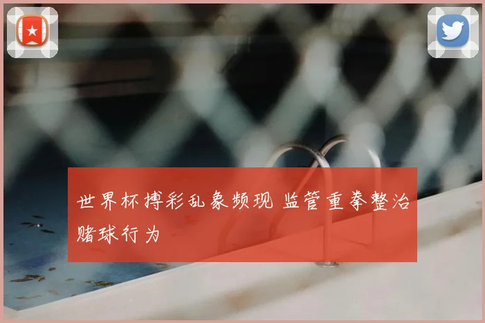 世界杯搏彩乱象频现 监管重拳整治赌球行为