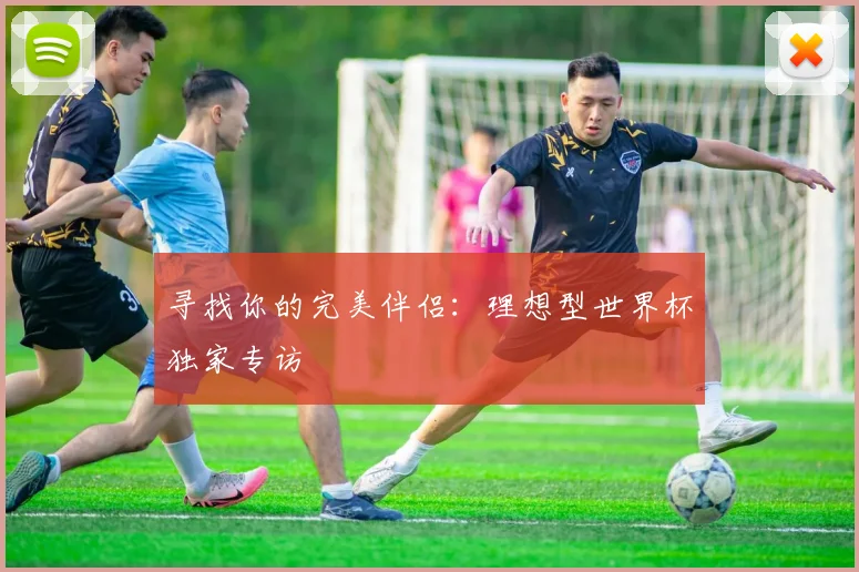 寻找你的完美伴侣：理想型世界杯独家专访