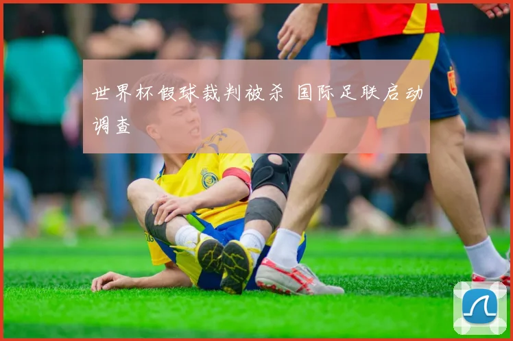 世界杯假球裁判被杀 国际足联启动调查