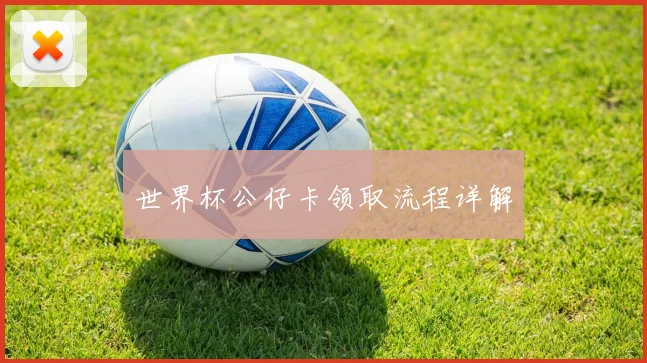 世界杯公仔卡领取流程详解