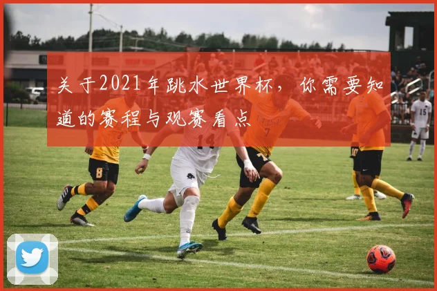 关于2021年跳水世界杯，你需要知道的赛程与观赛看点