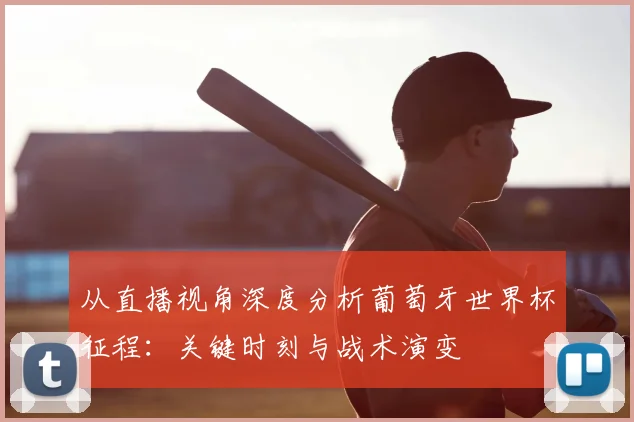 从直播视角深度分析葡萄牙世界杯征程：关键时刻与战术演变