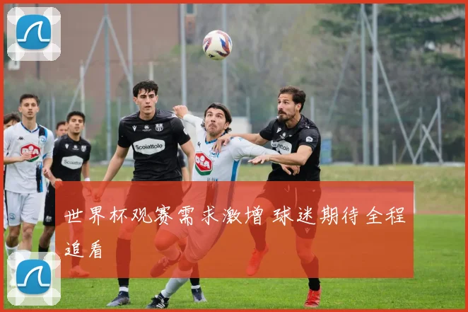 世界杯观赛需求激增 球迷期待全程追看